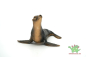 Preview: Schleich Seelöwe 14365